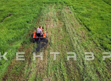Минитрактор Кентавр Т-4 LITE 6+2 (Toyokawa) STD agri 5,00-12 / 9,50-16 + (фреза/плуг)