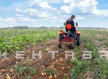 Минитрактор Кентавр Т-4 LITE 6+2 (Toyokawa) STD agri 5,00-12 / 9,50-16 + (фреза/плуг)