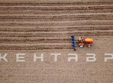Минитрактор Кентавр Т-5 LITE 6+2 (Toyokawa) STD agri 5,00-12 / 6,50-16 + (фреза/плуг)