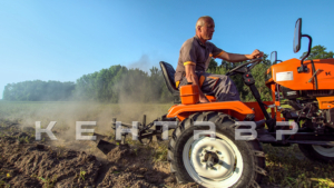 Минитрактор Кентавр Т-5 LITE 6+2 (Toyokawa) STD agri 5,00-12 / 6,50-16 + (фреза/плуг)