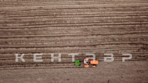 Минитрактор Кентавр Т-4 LITE 6+2 (Toyokawa) STD agri 5,00-12 / 9,50-16 + (фреза/плуг)