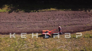 Мотоблок Кентавр 1015Д (Toyokawa)